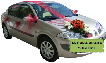 Ankara araba ssleme  Ankara Shhiye online iek gnderme sipari 