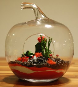 Elma Terrarium 3 kakts orta boy  Ankara Shhiye 14 ubat sevgililer gn iek 