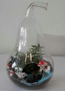 Armut orta boy cam terrarium  Ankara iek gnderme sitemiz gvenlidir 