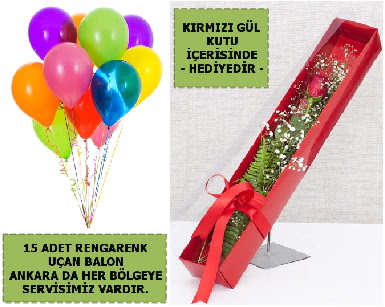 15 Adet uan balon ve kutuda krmz gl  Ankara ayranc hediye iek yolla 