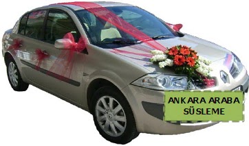 Ankara araba ssleme  Ankara Shhiye online iek gnderme sipari 