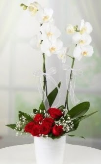 2 dall beyaz orkide 7 adet krmz gl  Ankara Shhiye 14 ubat sevgililer gn iek 