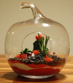 Elma Terrarium 3 kakts orta boy  Ankara Shhiye 14 ubat sevgililer gn iek 